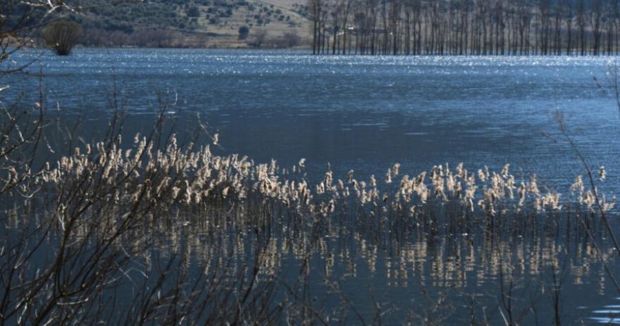 Ανατρίχιασαν όλοι με το θέαμα: Έτσι βρήκαν τον Μπάμπη νεκρό στο βάλτο, η λεπτομέρεια που ανατριχιάζει