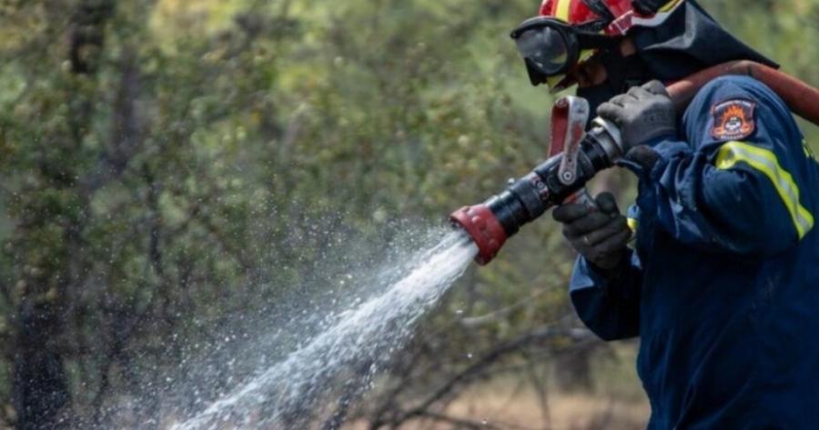 Νέα μεγάλη φωτιά τώρα: Επιχειρούν 7 εναέρια μέσα, πνέουν ισχυροί άνεμοι – Εστάλη 112