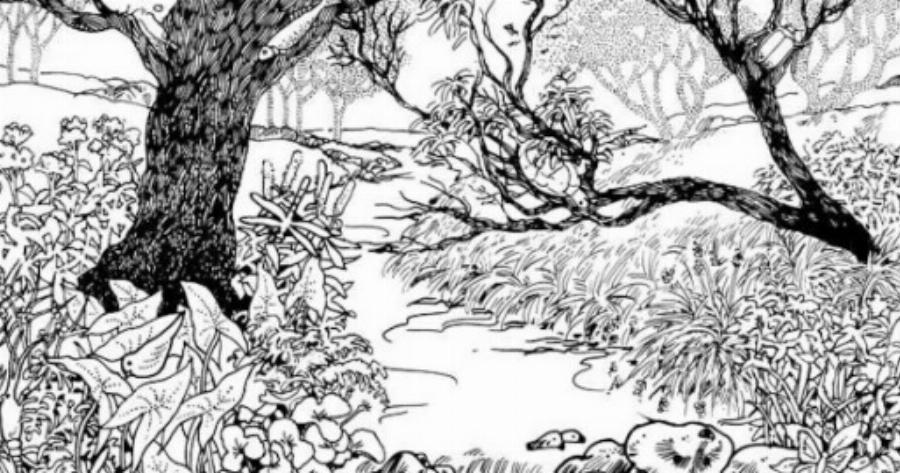 Μόνο άτομα με υψηλό IQ μπορούν να βρουν το ανθρώπινο πρόσωπο