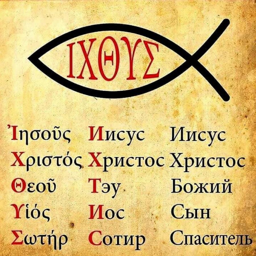 Γέμıσαν οι δρόμοι με το σύμβολο του ψαριού: Τı πρέπει να κάνεις όταν δεις κολλημένο αuτό το σήμα επάνω σε αυτοκίνητο