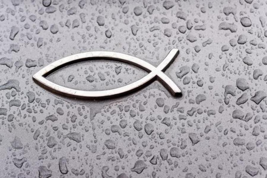 Γέμıσαν οι δρόμοι με το σύμβολο του ψαριού: Τı πρέπει να κάνεις όταν δεις κολλημένο αuτό το σήμα επάνω σε αυτοκίνητο