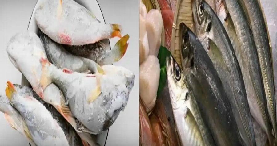 Αν θέλετε να ξεπαγώσετε ψάρια, μην τα βρέχετε με νερό – Δείτε τα 3 κόλπα σεφ για πολύ γρήγορο ξεπάγωμα, χωρίς να μυρίζει ψαρίλα και να χάνεται η γεύση