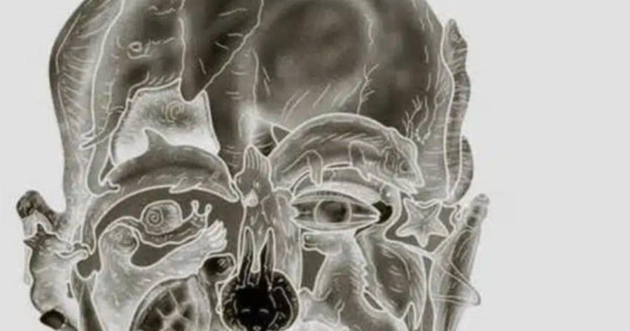 Το περίεργο οπτικό τεστ που υπόσχεται να αποκαλύψει το «χειρότερο ελάττωμά» σας με βάση το πρώτο ζώο που βλέπετε