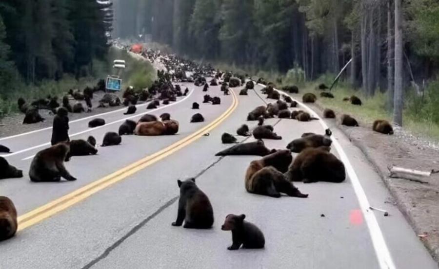 Επιστρέφαμε