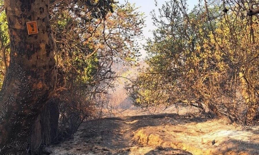 Πήγε στην τουαλέτα κι εξαφανίστηκε για 57 χρόνια: Σήμερα τον βρήκαν θαμμένο στο χωράφι, «πάγωσε» η οικογένειά του