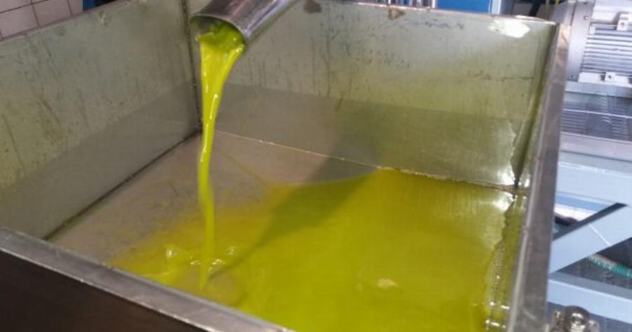 Ελαιόλαδο: Αυτός είναι ο τρόπος να ξεχωρίσετε το νοθευμένο λάδι – Τι πρέπει να προσέχετε