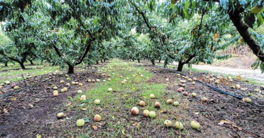 ΣΥΝΑΓΕΡΜΟΣ ΤΩΡΑ: Σε κατάσταση έκτακτης ανάγκης πασίγνωστες Πόλεις και Νομοί της Ελλάδας – Μεγάλες καταστροφές και σκηνές αποκάλυψης