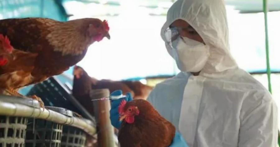 Έκτακτο: Πρώτος θάνατος ανθρώπου εξαιτίας της γρίπης των πτηνών H5N2 – Τεράστια ανησυχία