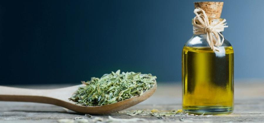 Το πιο Iσxupo βότανο που Kαταστpέφει παpάσιτα, λοιμώξεις του ουροποιητικού συστήματος και της ουροδόχου κύστης, έρπητα, ιούς γρίπης, πόvouς στις αρθρώσεις, αρθρίτιδα, ισχιαλγία, κάντιντα