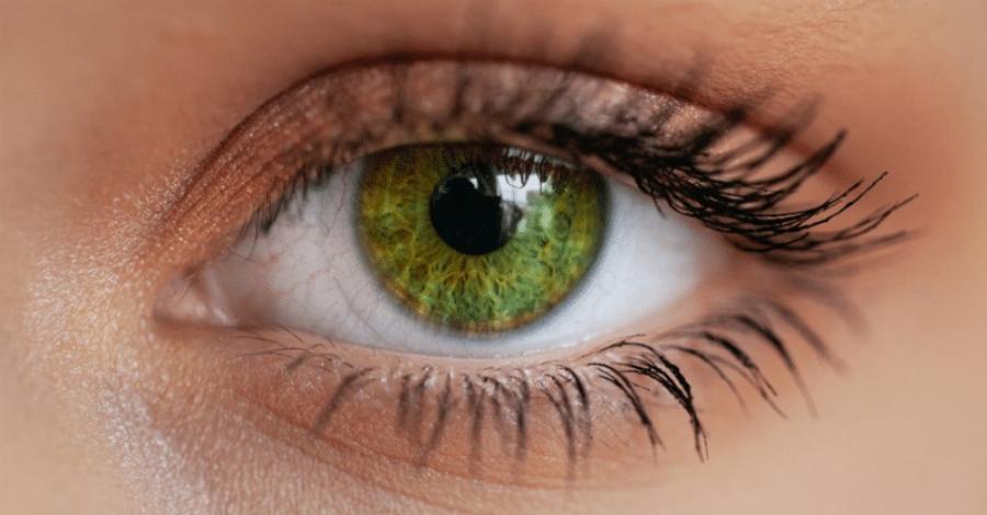 Oι άνθρωποι με πράσινα μάτια είναι ξεχωριστοί για Auτouς τους λόγους