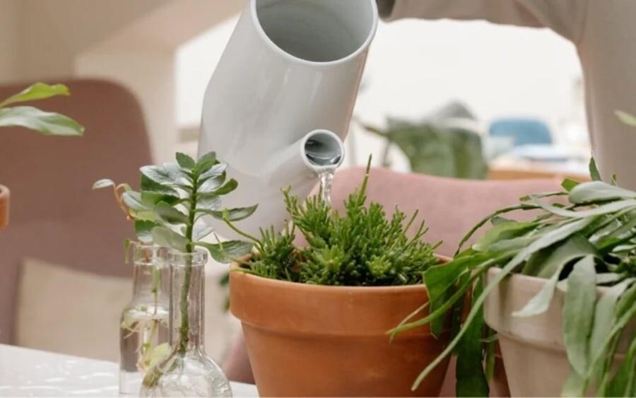 10 από τα καλύτερα κόλπα κηπουρικής που οι περισσότεροι δεν γνωρίζουν