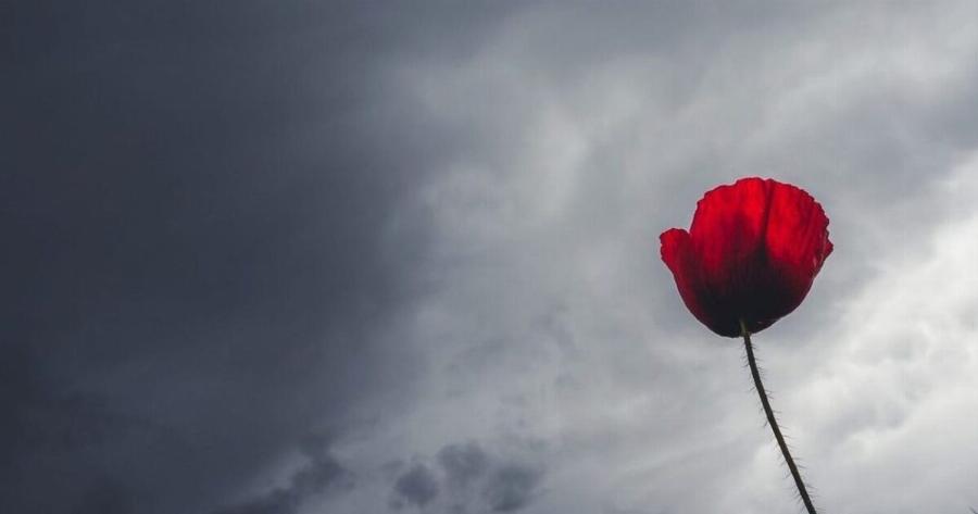 Καιρός: Θα ‘ναι σαν να μπαίνει η Άνοιξη… μέχρι να έρθει η «χειμερινή φωτοβολίδα» – Η πρόβλεψη Μαρουσάκη