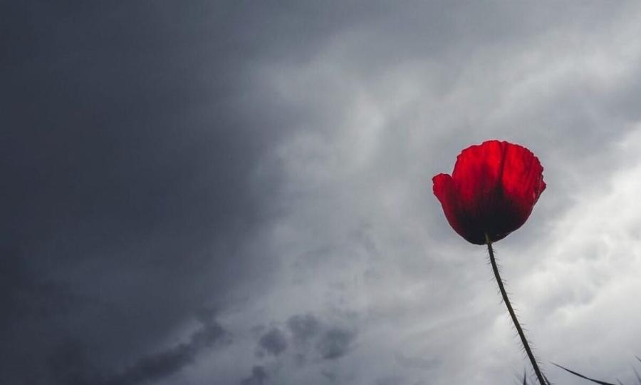 Καιρός: Θα ‘ναι σαν να μπαίνει η Άνοιξη… μέχρι να έρθει η «χειμερινή φωτοβολίδα» – Η πρόβλεψη Μαρουσάκη