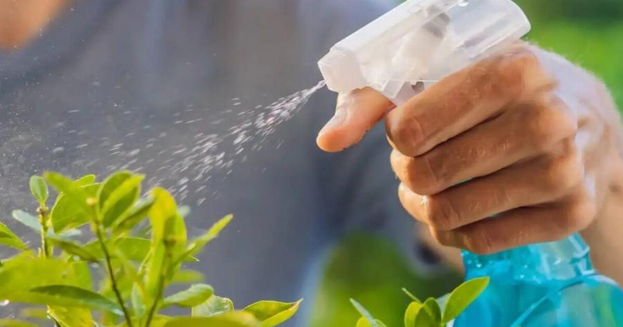 10 από τα καλύτερα κόλπα κηπουρικής που οι περισσότεροι δεν γνωρίζουν