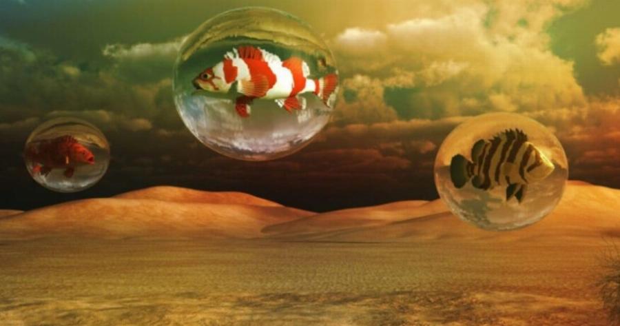 Το Τζόκερ της ζωής τους: 3 ζώδια θα έχουν όλη την τύχη πάνω τους με τη Σελήνη στους Ιχθύς από 23 ως 25 Ιουλίου