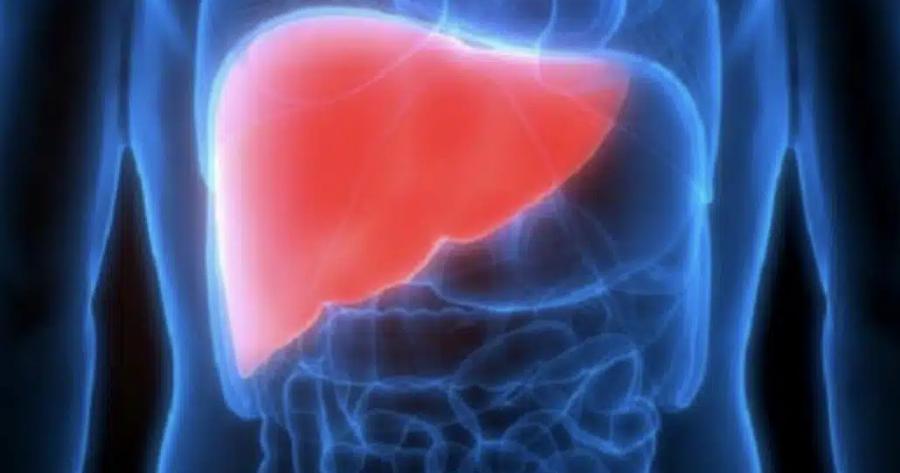 KINΔYNEYEI ΤΟ ΣΥΚΩΤΙ ΣΑΣ; 12 Πρώιμα Σημάδια ΚΙΡΡΩΣΗΣ ΤΟΥ ΗΠΑΤΟΣ που δεν πρέπει να Aγvonσετε