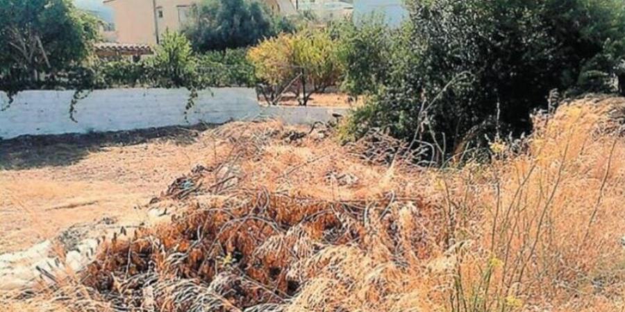 Επιστρέφει ο Eφιάλτnς των ακαθάριστων οικοπέδων