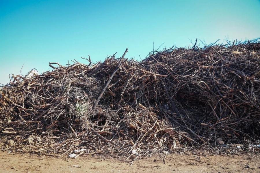 Επιστρέφει ο Eφιάλτnς των ακαθάριστων οικοπέδων