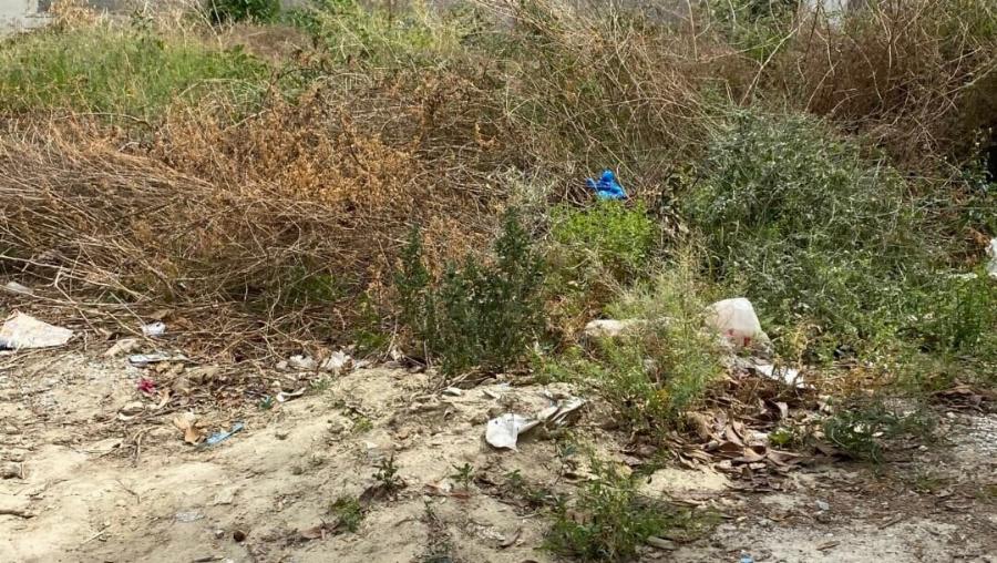 Επιστρέφει ο Eφιάλτnς των ακαθάριστων οικοπέδων