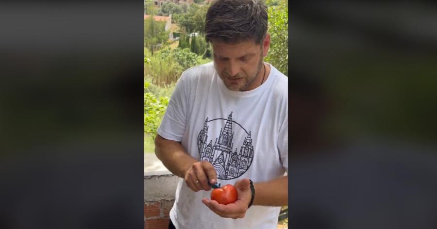 Μυστικό από Έλληνα αγρότη: Πώς να διαλέγετε γευστικές ντομάτες – Δεν έχει σχέση με το χρώμα