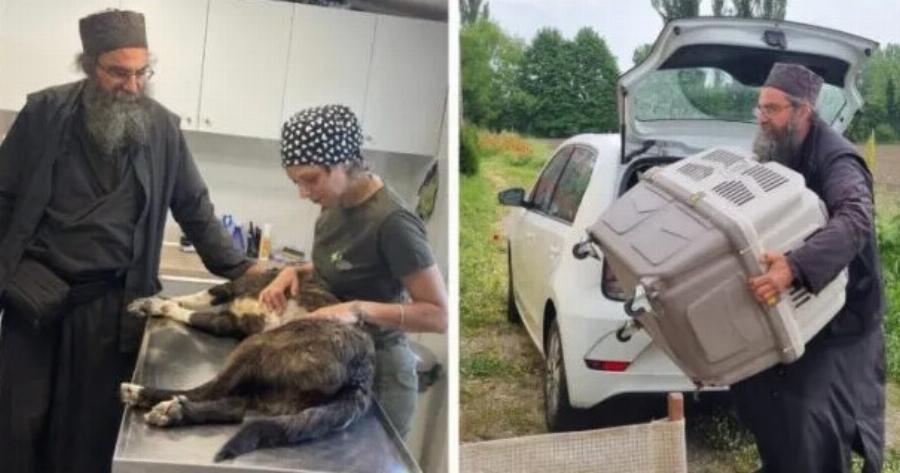 Γνωρίστε τον πατέρα Ελευθέριο από τον Δήμο Βόλβης που εδώ και χρόνια στειρώνει, περιθάλπει και σώζει αδέσποτα