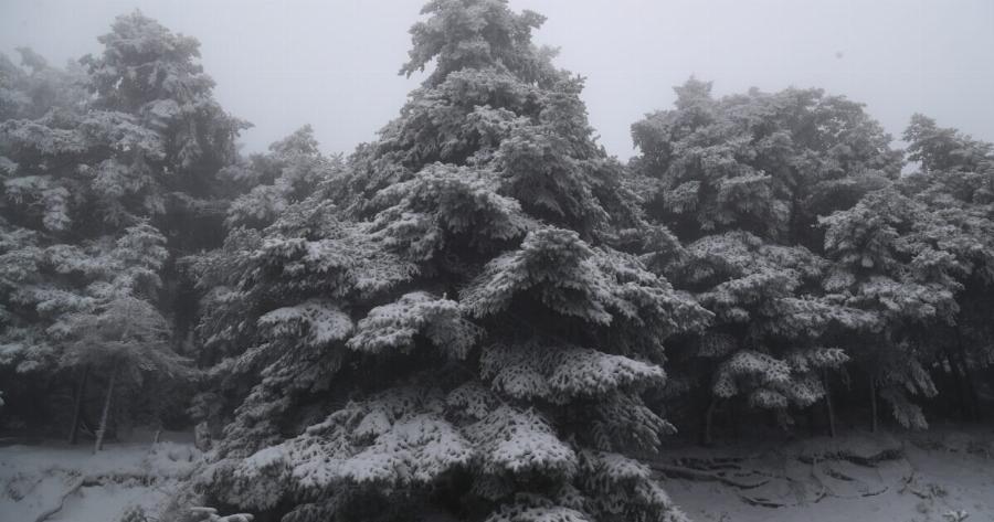 Δείτε που χιονίζει τώρα