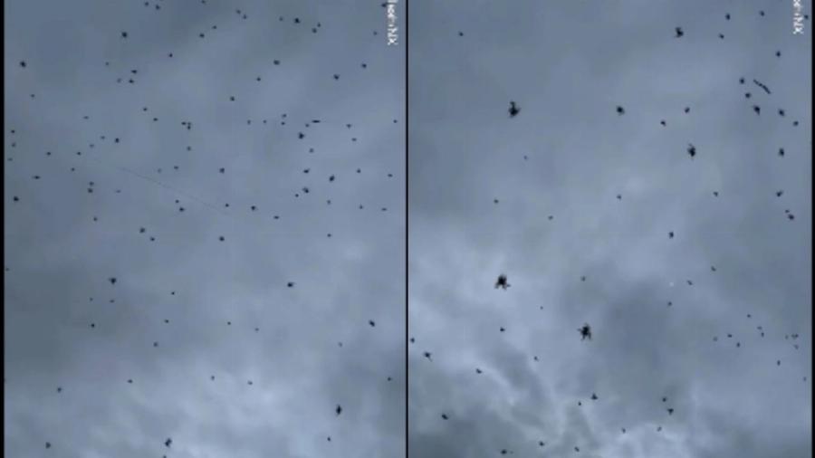 «Έβρεξε» αράχνες: Τι σημαίνει αυτό το σπάνιο και παράξενο φαινόμενο