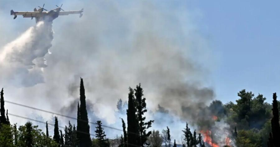 Φωτιά τώρα – Κινδύνευσαν πυροσβέστες σε φλεγόμενο πευκοδάσος – Στο νοσοκομείο ένα άτομο με σοβαρά εγκαύματα