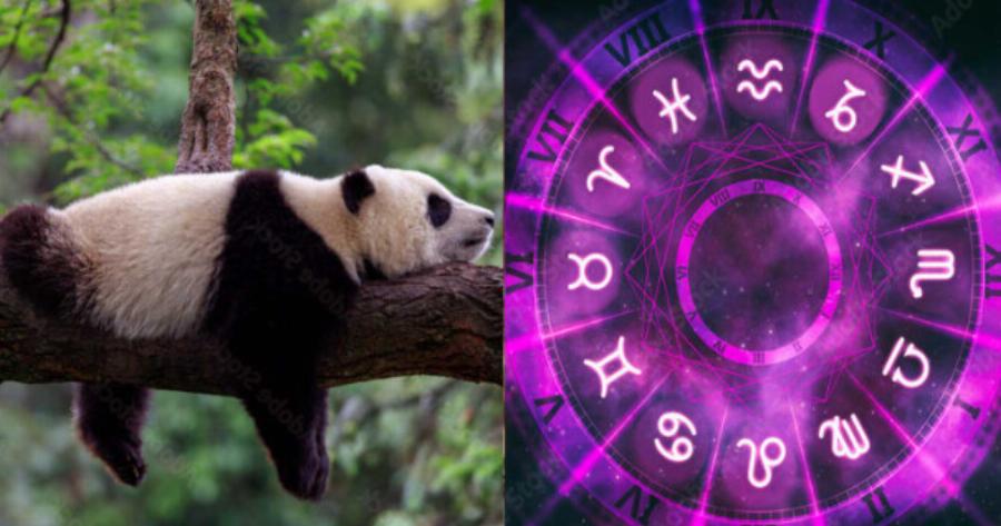 Αuτό είναι το πιο τεμπέλικο ζώδιο – Βαριέται τα πάντα, δεν ξεκολλάει από τον καναπέ