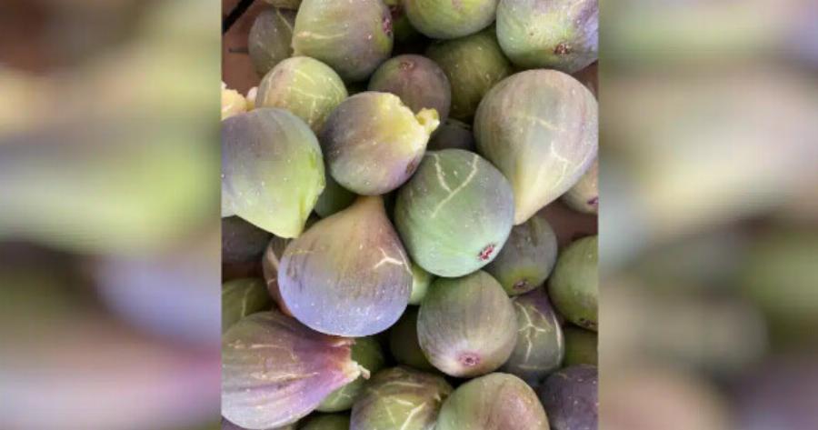 Γιατί φέτος «εξαφανίστηκαν» τα σύκα; –  Όλη η αλήθεια