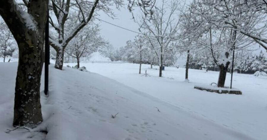 Μερομήνια 2025: Βαρυχειμωνιά τον Φλεβάρη – Έρχεται “πολικό” δεκαπενθήμερο