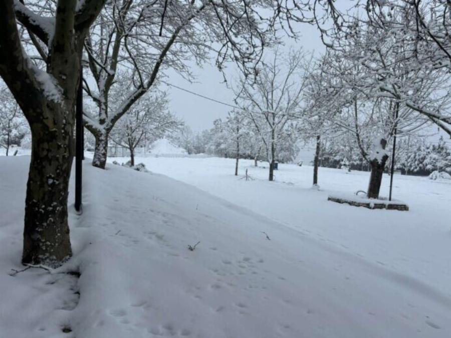 Μερομήνια 2025: Βαρυχειμωνιά τον Φλεβάρη – Έρχεται “πολικό” δεκαπενθήμερο