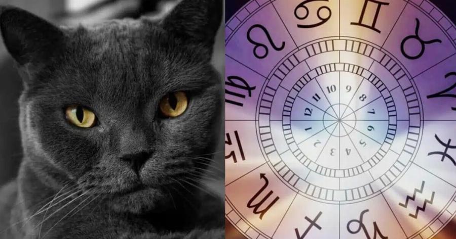 Τα δύο πιο μνησίκακα ζώδια – Αυτά που κρατούν κακίες για μια ζωή