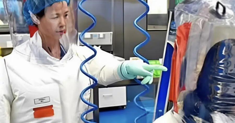 Ανακαλύφθηκε νέος κορονοϊός στην Κίνα – Εντοπίστηκε στο ίδιο εργαστήριο που είχε θεωρηθεί «ύποπτο» για την πανδημία COVID-19