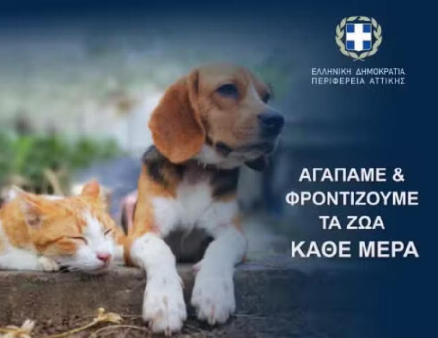 Λίγοι το γνωρίζουν: Τι θα γίνει σε όλα τα σχολεία στις 4 Απριλίου 2024;