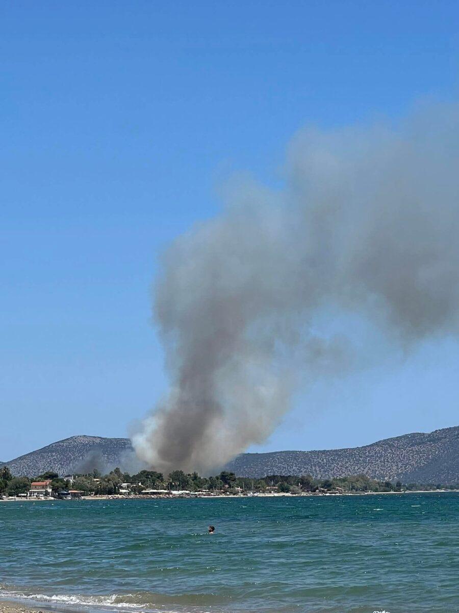 EKTAKTO – ΦΩΤΙΑ ΤΩΡΑ ΣΤΗΝ ΑΤΤΙΚΗ ΑΝΑΜΕΣΑ ΣΕ ΣΠΙΤΙΑ – ΜΕΓΑΛΟΣ ΣYNAΓEPMOΣ