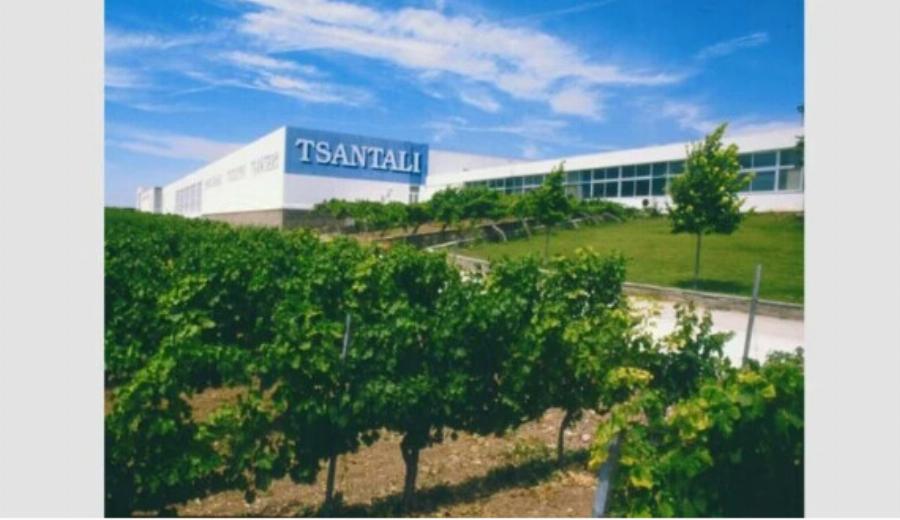 Επιχειρήσεις: Σκάει… κανόνι ιστορικής εταιρείας – Φόβοι για χιλιάδες ανέργους