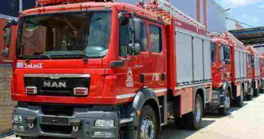 Απίστευτο: Η πυρκαγιά στην Εύβοια από γεράκι που άρπαξε φωτιά από καλώδιο της ΔΕΗ