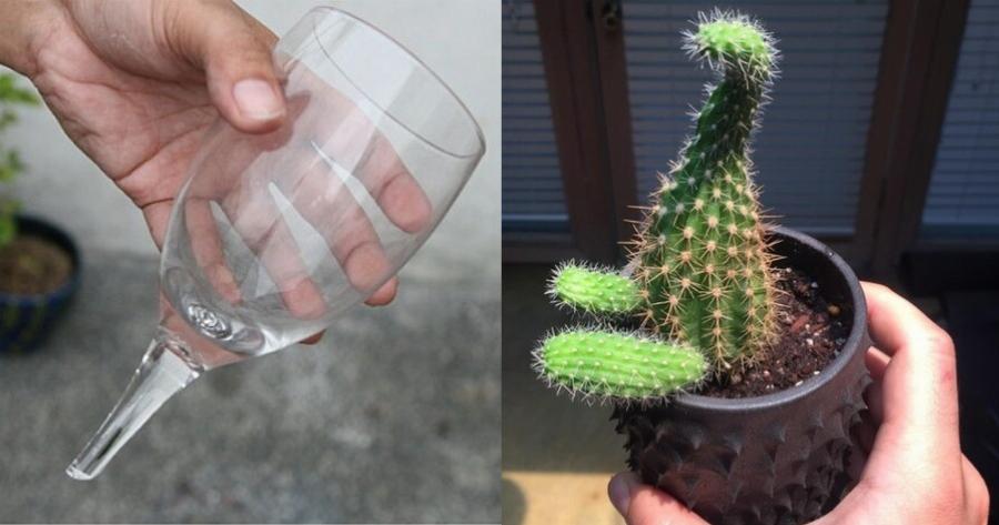 Φέρνουν μεγάλη γρουσουζιά, πέταξέ τα από το σπίτι σου: Αυτά είναι 5 πράγματα που πρέπει να ξεφορτωθείς άμεσα