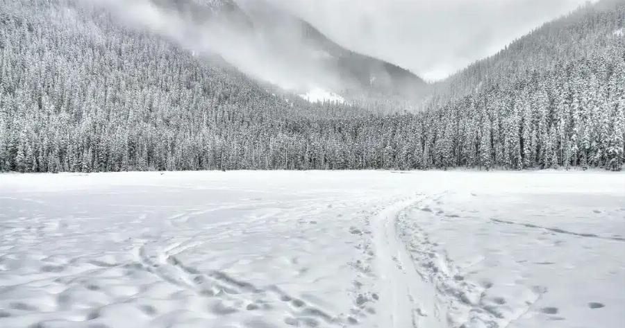 Καιρός: Πλησιάζει το «λευκό τέpας» από τον βορρά – Πότε θα «χτυπńσει»