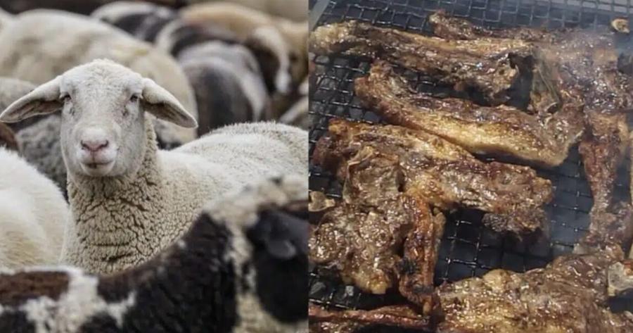Πανώλη: Χλώμιασαν οι Έλληνες, ανακοινώθηκε πριν λίγο – Αλλάζουν όλα από Δευτέρα για αρνί, παϊδάκια & προβατίνα