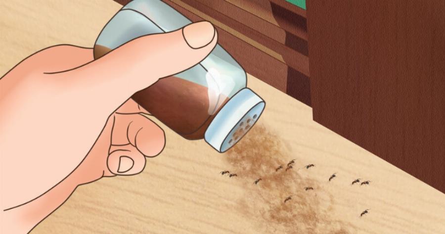 Κατσαρίδες, μύγες, κουνούπια, τέλος: Έτσι θα τα διώξετε από το σπίτι για όλο το καλοκαίρι χωρίς ευρώ