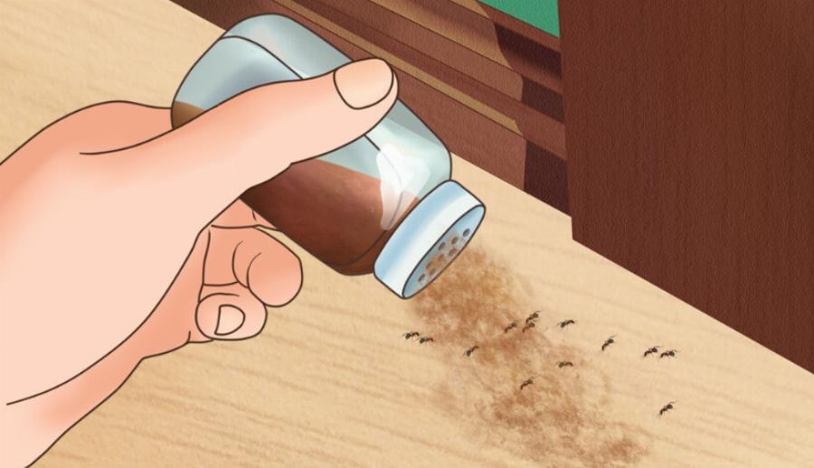 Κατσαρίδες, μύγες, κουνούπια, τέλος: Έτσι θα τα διώξετε από το σπίτι για όλο το καλοκαίρι χωρίς ευρώ