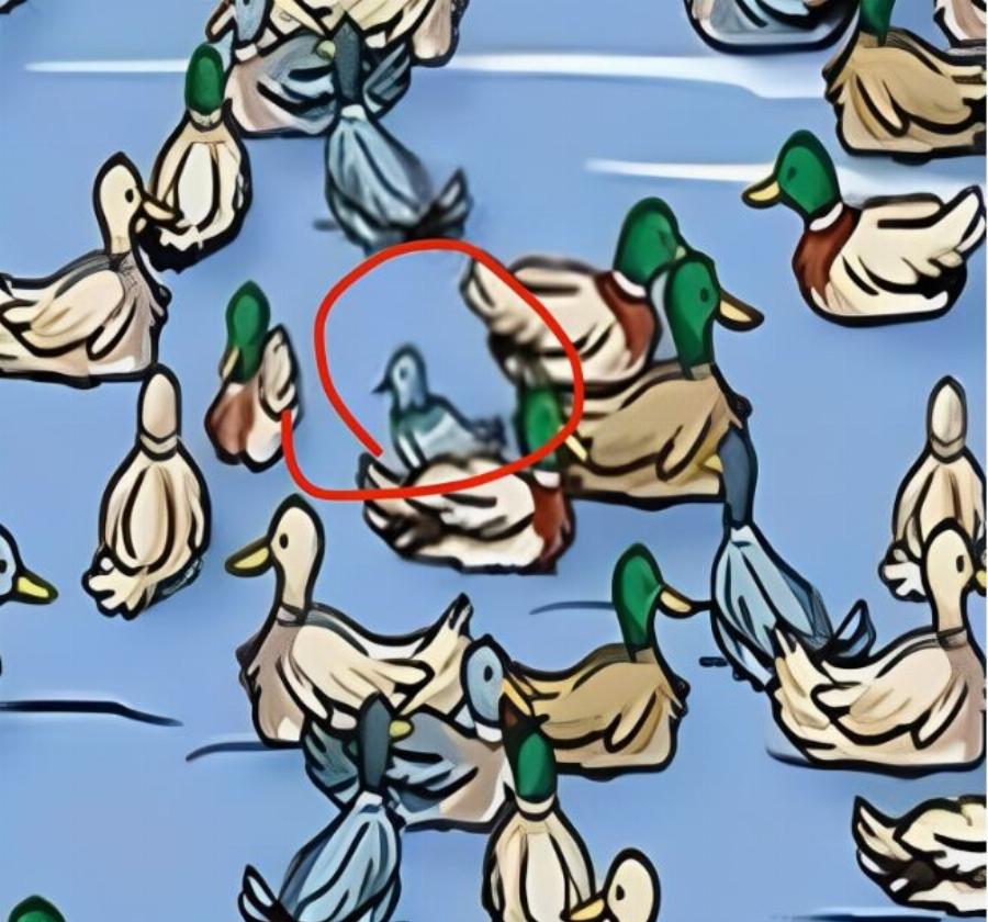 Αν μπορείτε να εντοπίσετε τι δεν πάει καλά σε αυτή τη φωτογραφία, είστε διάνοιες