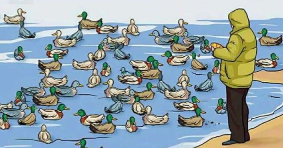 Αν μπορείτε να εντοπίσετε τι δεν πάει καλά σε αυτή τη φωτογραφία, είστε διάνοιες