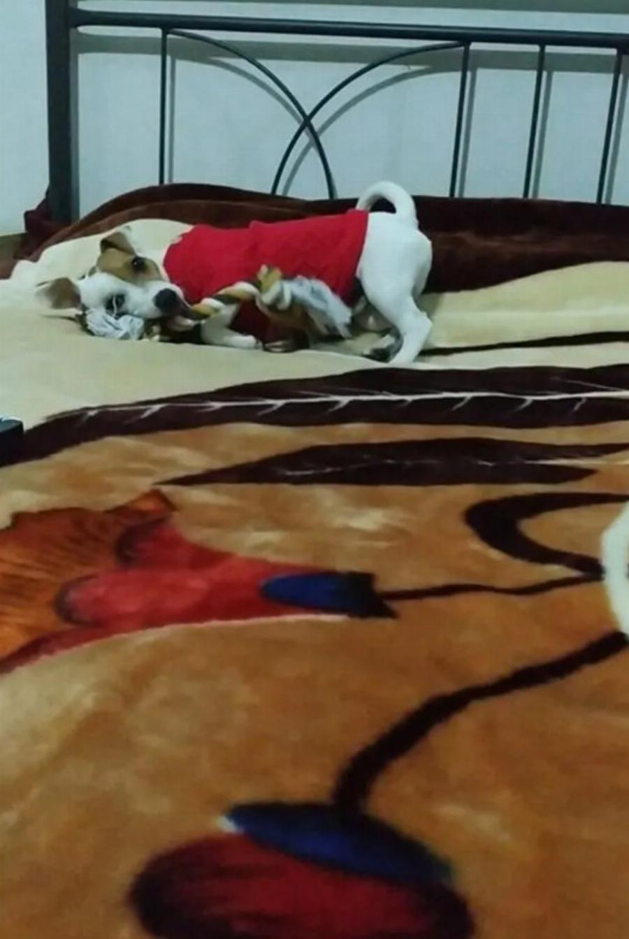 Η Κατερίνα και ο Βίκτωρας είναι δυο υπέροχα και μοναδικά πλάσματα που αξίζουν όλη την αγάπη του κόσμου!