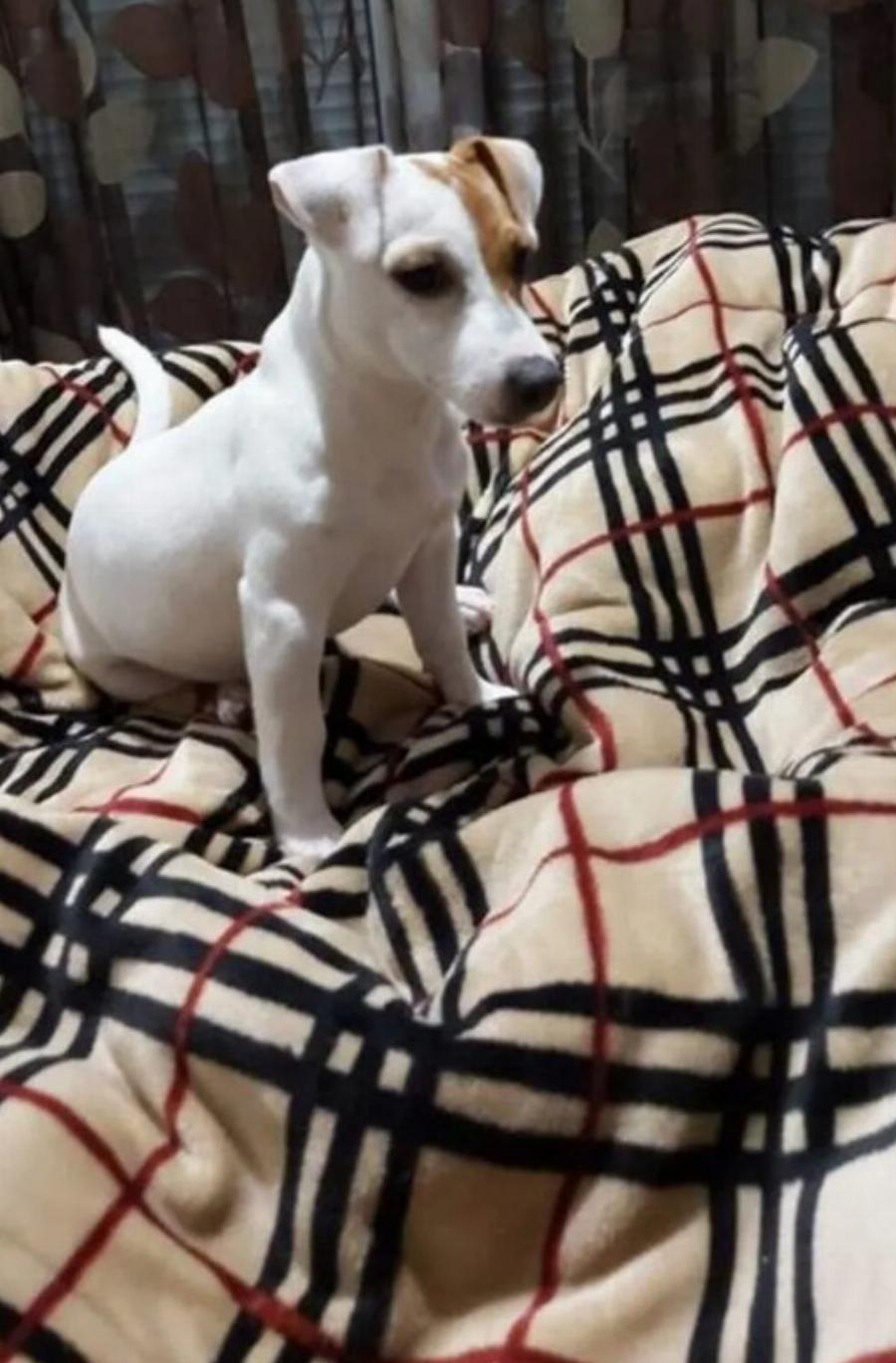 Η Κατερίνα και ο Βίκτωρας είναι δυο υπέροχα και μοναδικά πλάσματα που αξίζουν όλη την αγάπη του κόσμου!