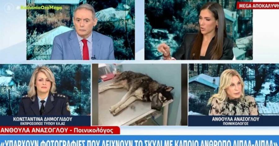 Όλα τούμπα με την Αράχωβα: «Υπάρχουν φωτογραφίες που δείχνουν το σκυλί με κάποιον άνθρωπο»