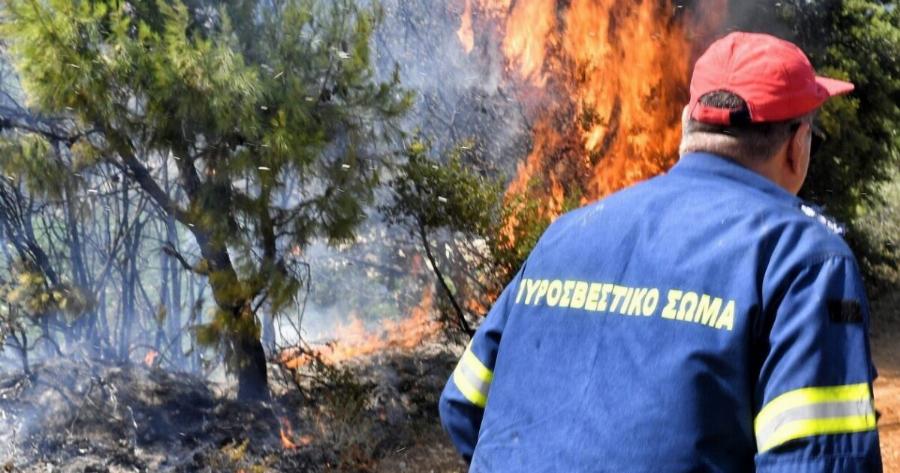 ΕΚΤΑΚΤΟ: Μεγάλη φωτιά ΤΩΡΑ στην Αττική