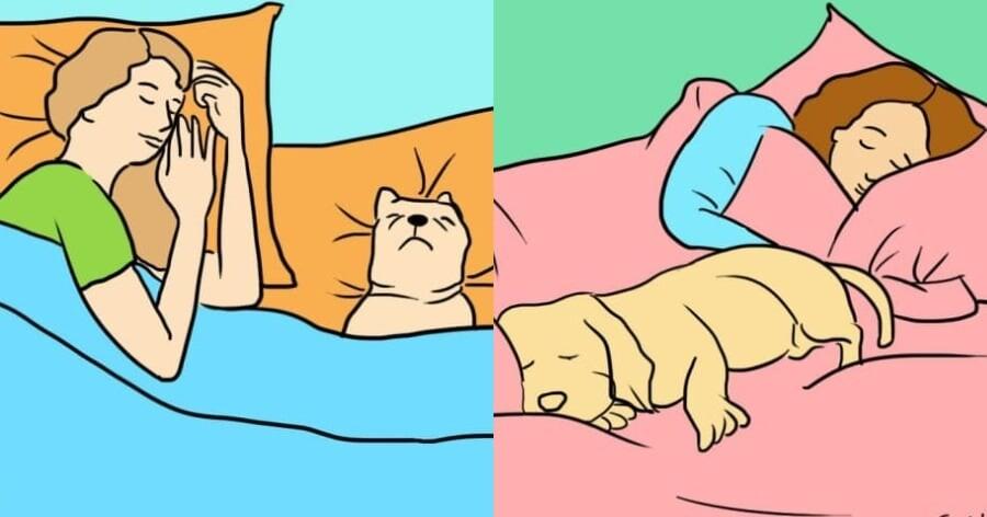 6 καλοί λόγοι για να αφήνεις τον σκύλο σου να κοιμάται στο ίδιο κρεβάτι μαζί σου